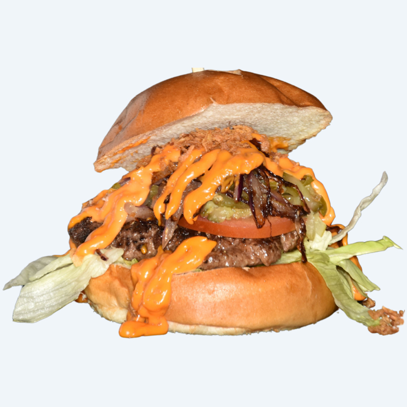 Homemade Bits Special Burger