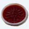 Ketchup